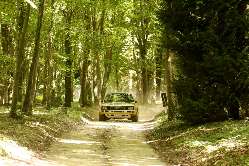 Illustration for article titled Tons Of Classic Rally Cars? Tons Of Classic Rally Cars!